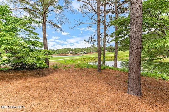 20 Shenecossett Ln, Pinehurst, NC 28374 - view of yard with a water view