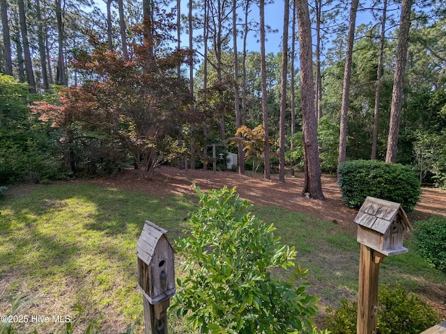 view of grassy yard