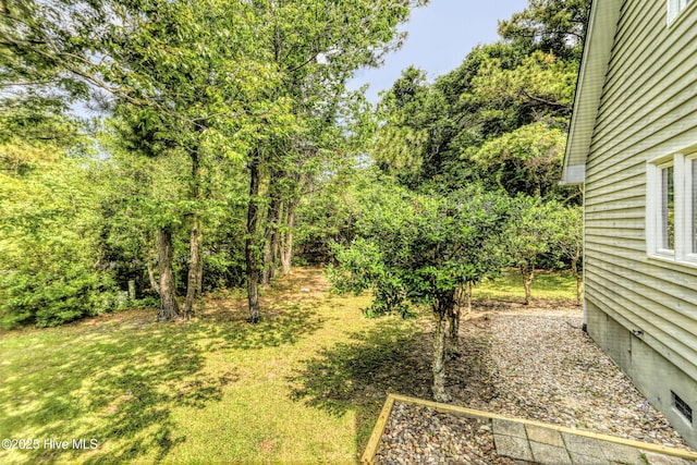 107 Live Oak Ct, Pine Knoll Shores, NC 28512 - view of yard