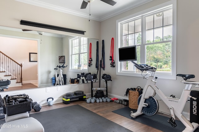 exercise area with a ceiling fan, wood finished floors, ornamental molding, and baseboards