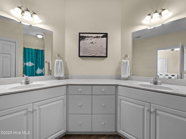 bathroom with vanity and wood finished floors