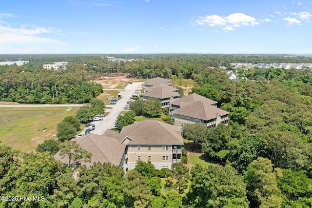 bird's eye view of a forest
