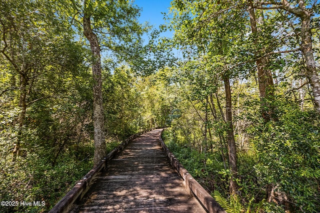 1406 Judith Dr SE, Bolivia, NC 28422 - view of home's community with a forest view