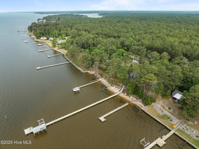 2285 Old Pamlico Beach Rd W, Belhaven, NC 27810 - aerial overview of property's location with a heavily wooded area and a nearby body of water