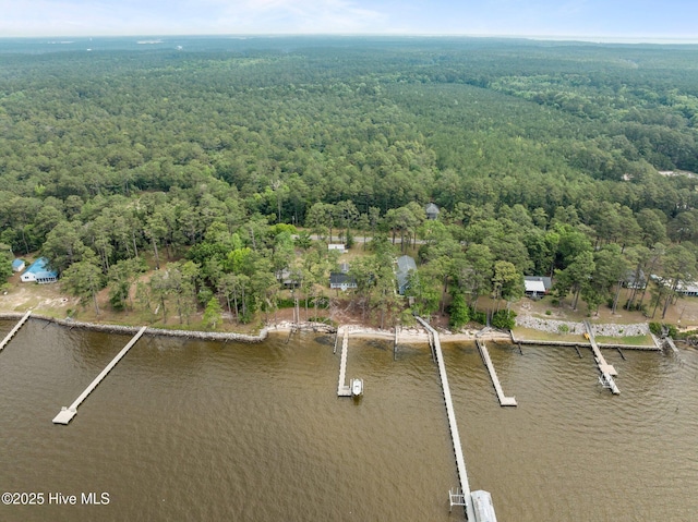 2285 Old Pamlico Beach Rd W, Belhaven, NC 27810 - aerial view of property and surrounding area with a forest and a nearby body of water
