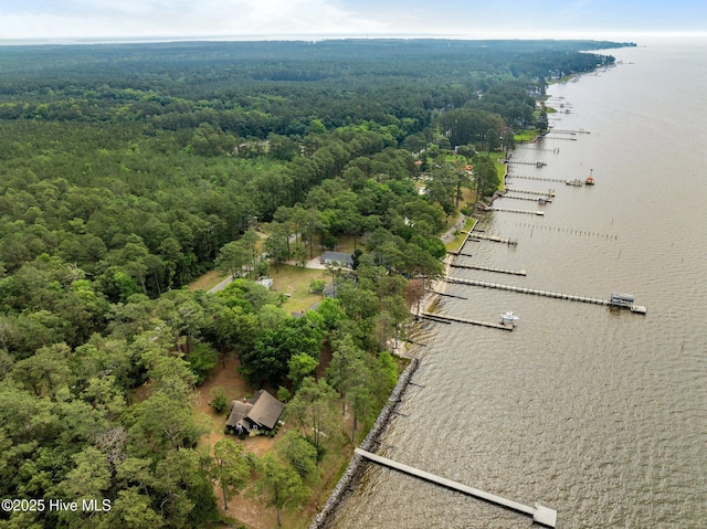2285 Old Pamlico Beach Rd W, Belhaven, NC 27810 - drone / aerial view of a large body of water and a forest