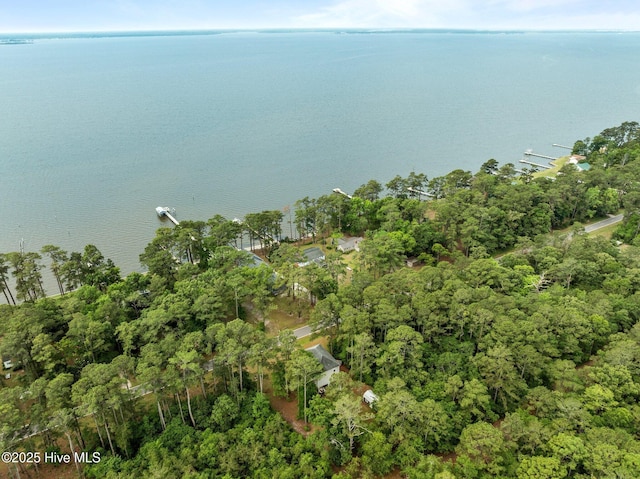 2285 Old Pamlico Beach Rd W, Belhaven, NC 27810 - view of property location with a large body of water