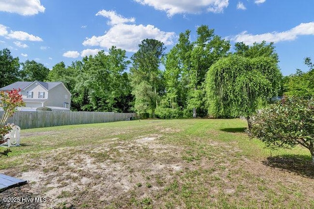 102 Rocky Ct, Richlands, NC 28574 - view of yard