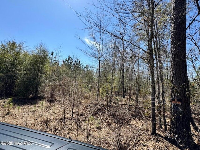 TRACT2 NC Highway 53 W, White Oak, NC 28399