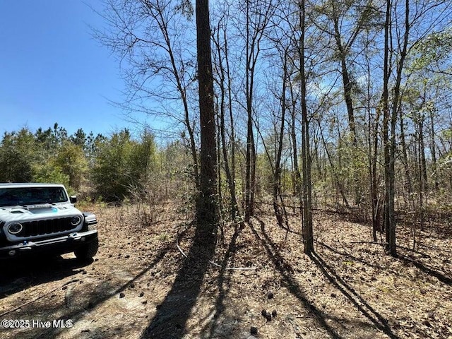 TRACT2 NC Highway 53 W, White Oak, NC 28399