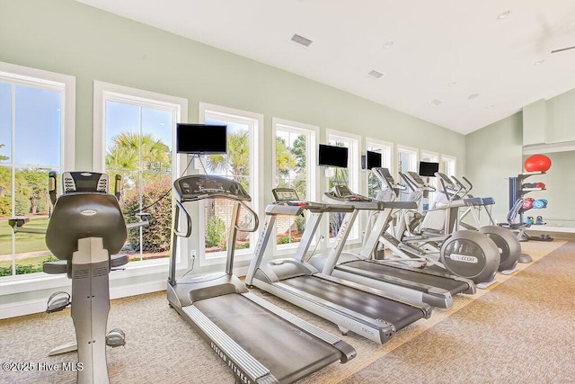 968 Woodwind Dr, Leland, NC 28451 - workout area featuring carpet floors, healthy amount of natural light, baseboards, and lofted ceiling