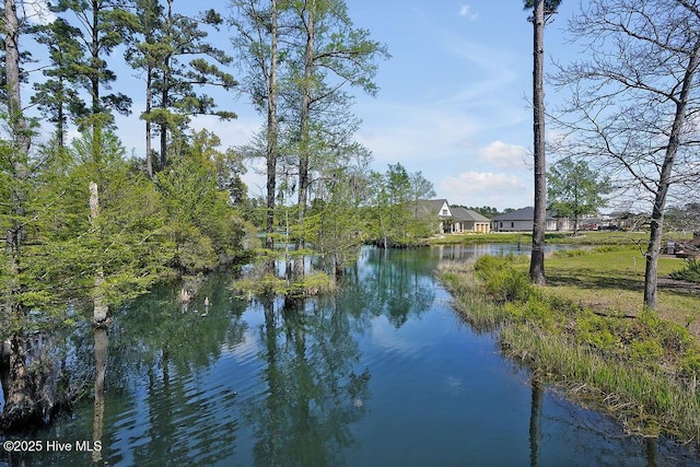 968 Woodwind Dr, Leland, NC 28451 - water view