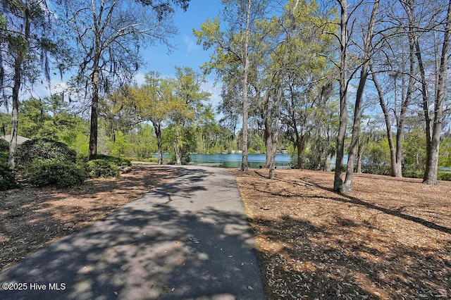 968 Woodwind Dr, Leland, NC 28451 - view of community with a water view