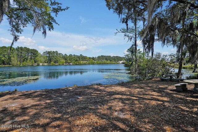 968 Woodwind Dr, Leland, NC 28451 - water view with a forest