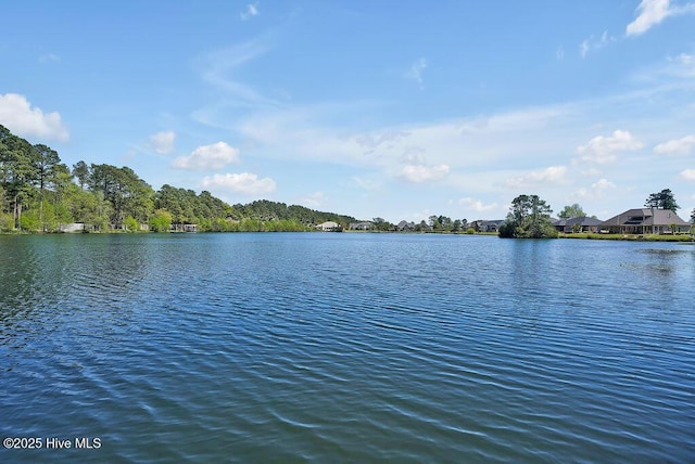 968 Woodwind Dr, Leland, NC 28451 - water view