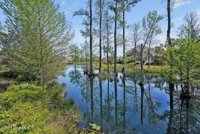 968 Woodwind Dr, Leland, NC 28451 - water view