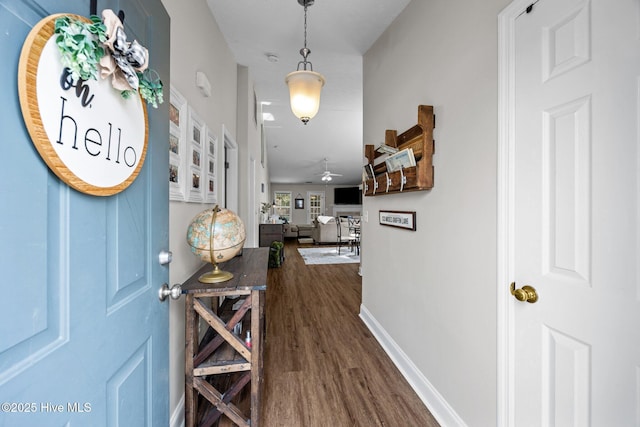 133 Moses Griffin Ln, New Bern, NC 28562 - foyer featuring dark wood-style flooring, ceiling fan, and baseboards