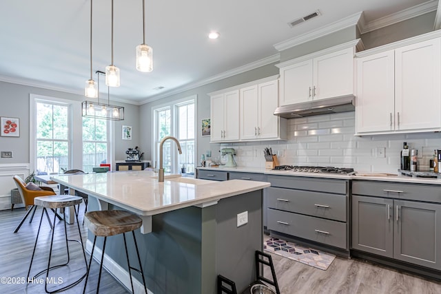 90 N Lamplighters Walk, Hampstead, NC 28443 - kitchen featuring gray cabinets, a sink, light wood-style floors, crown molding, and a wainscoted wall