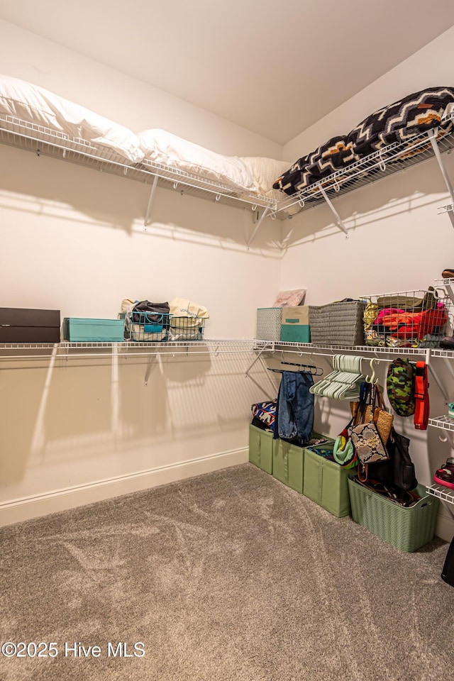 90 N Lamplighters Walk, Hampstead, NC 28443 - spacious closet featuring carpet