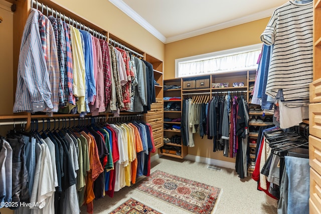 6575 Longwater Ct SW, Ocean Isle Beach, NC 28469 - spacious closet with carpet