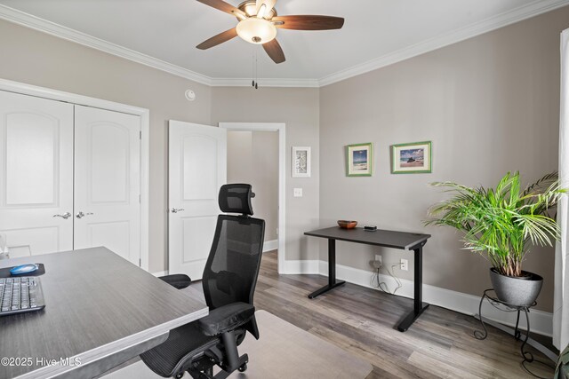 3032 Beachcomber Dr, Southport, NC 28461 - home office with ceiling fan, wood finished floors, ornamental molding, and baseboards
