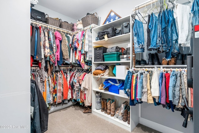 spacious closet featuring carpet floors