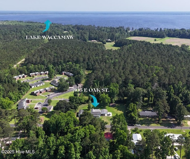 view of property location with a forest and a large body of water