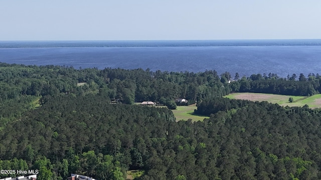 drone / aerial view of a heavily wooded area