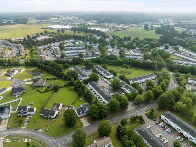 bird's eye view