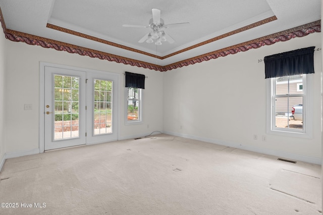 spare room featuring a raised ceiling, plenty of natural light, and light colored carpet