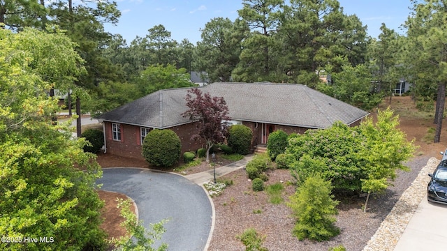 view of front of property featuring brick siding, roof with shingles, and asphalt driveway