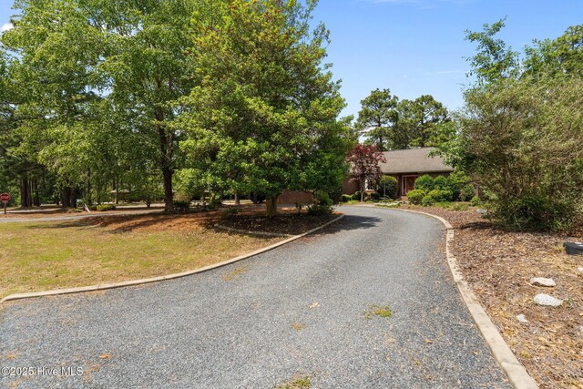 obstructed view of property featuring gravel driveway