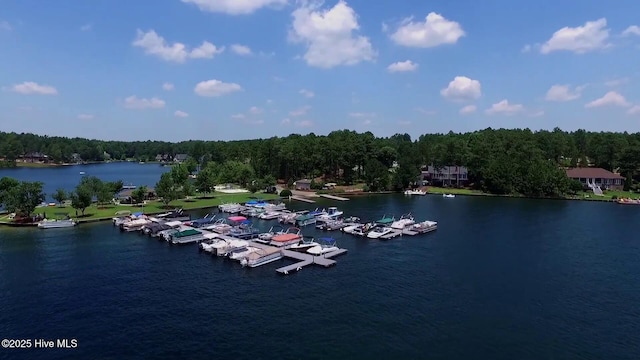 water view with a dock
