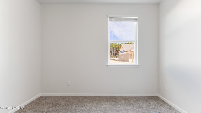 2304 Emerald Ave Lot 272, Castle Hayne, NC 28429 - carpeted empty room with baseboards