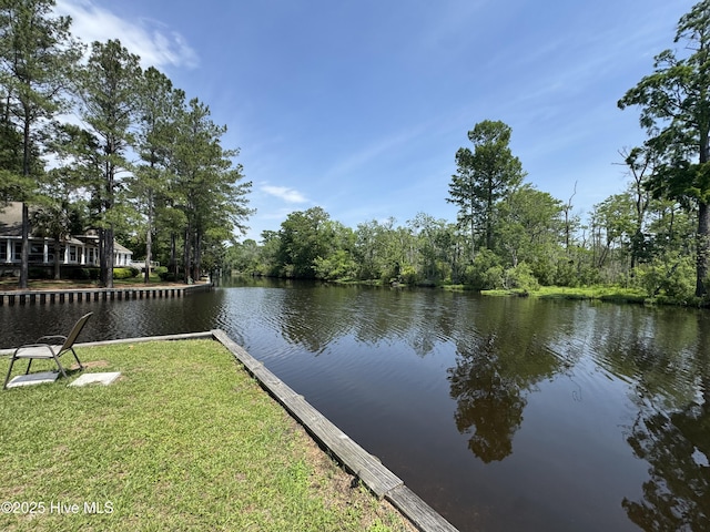 107 Knottline Rd, New Bern, NC 28562 - water view