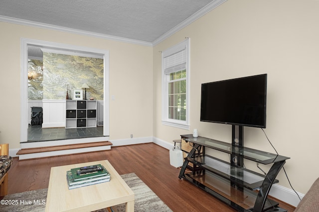 2008 S Elm St, Greenville, NC 27858 - living area featuring wood finished floors, baseboards, crown molding, and a textured ceiling