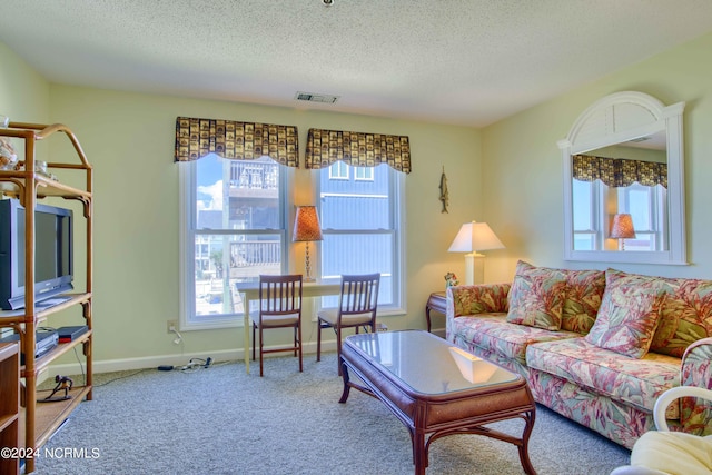 carpeted living area with a textured ceiling and baseboards