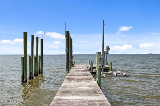 859 Old Pamlico Beach Rd W, Belhaven, NC 27810 - dock with boat lift and a water view