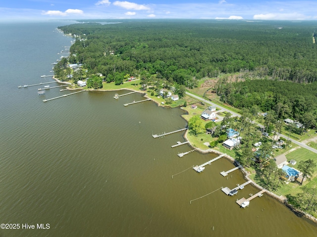 859 Old Pamlico Beach Rd W, Belhaven, NC 27810 - aerial view of property's location with a heavily wooded area and a nearby body of water
