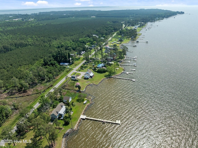 859 Old Pamlico Beach Rd W, Belhaven, NC 27810 - view of property location featuring a large body of water and a forest