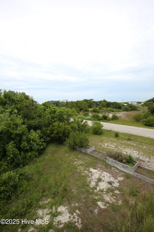 105 Sandy Landing Rd, Cedar Island, NC 28520 - view of yard