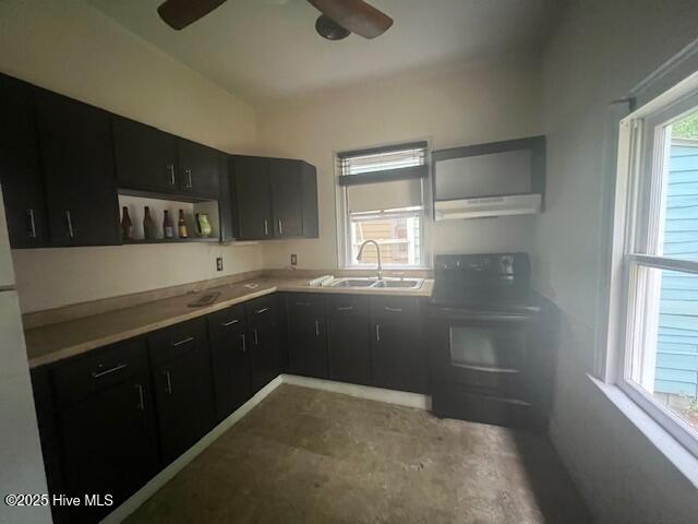 617 Fullwood St, Wilmington, NC 28401 - kitchen featuring a sink, under cabinet range hood, dark cabinetry, and a ceiling fan