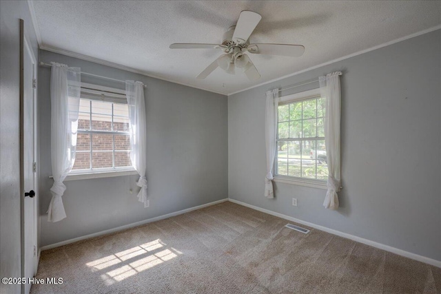 1721 Spencer Ave, New Bern, NC 28560 - carpeted empty room with crown molding, a textured ceiling, ceiling fan, and baseboards