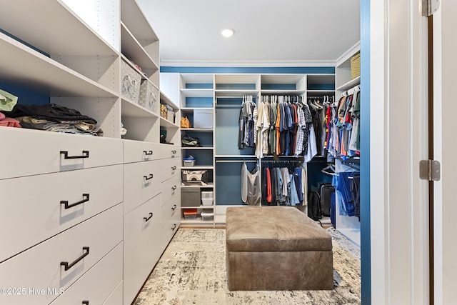 4224 Cobleskill Dr, Leland, NC 28451 - view of walk in closet