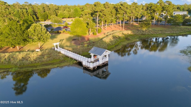 4224 Cobleskill Dr, Leland, NC 28451 - bird's eye view of a large body of water