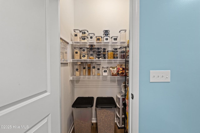 84 Capital Dr, Hampstead, NC 28443 - view of pantry