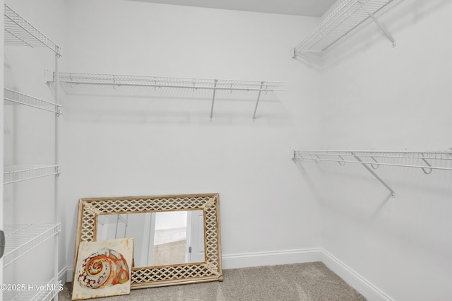 1306 Wakefield Ct, Winnabow, NC 28479 - walk in closet featuring carpet flooring