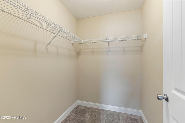 113 Kingsmill Dr, Pikeville, NC 27863 - walk in closet featuring carpet