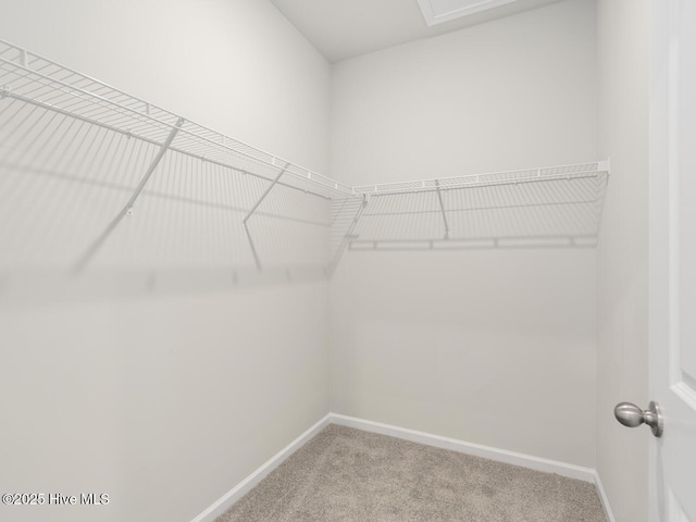 83 N Atlantic Ave Lot 148, Wilmington, NC 28411 - spacious closet with carpet flooring
