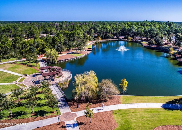 3792 Bancroft Pl, Southport, NC 28461 - bird's eye view of a nearby body of water and a heavily wooded area